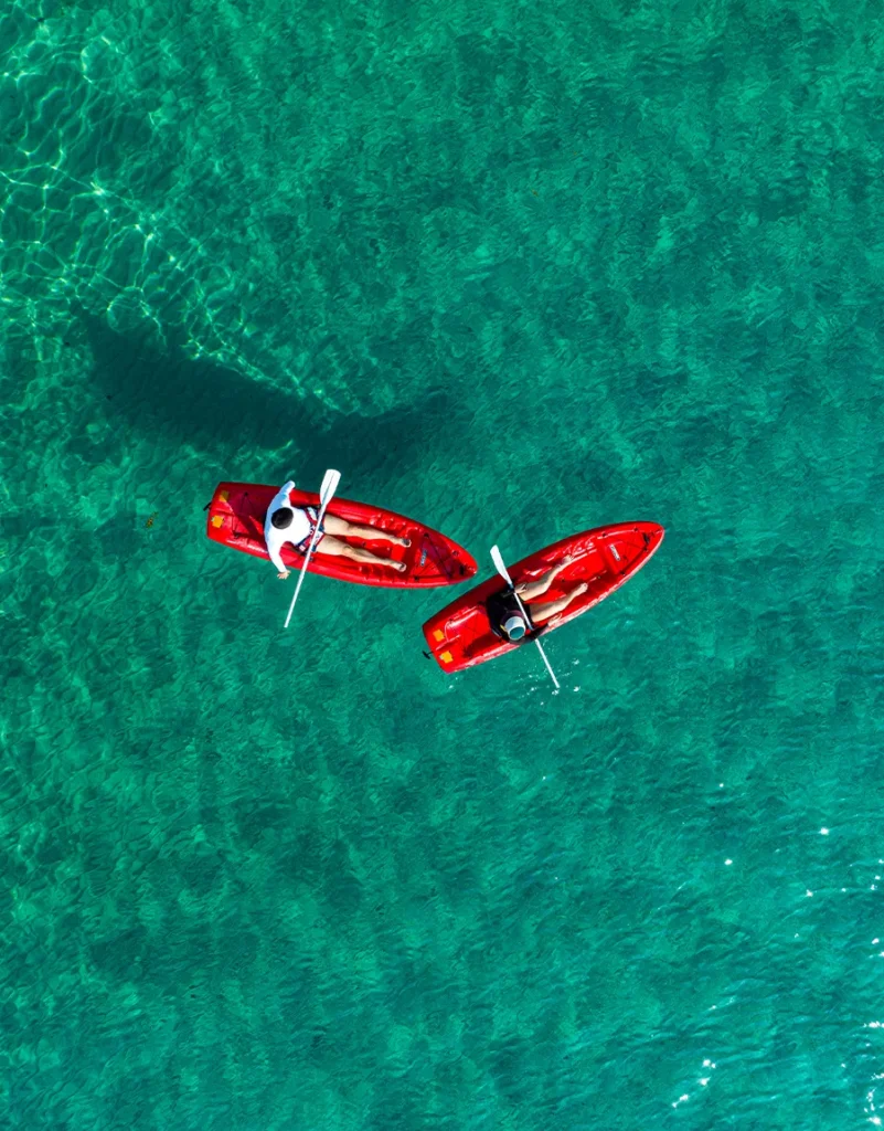 Aventura en el mar de cortes